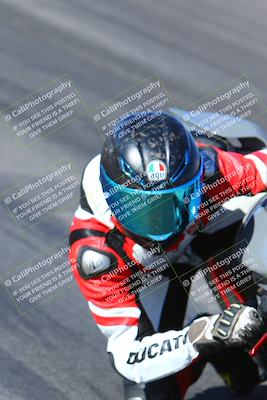 media/Jan-14-2024-SoCal Trackdays (Sun) [[2e55ec21a6]]/Turn 12 Inside (945am)/